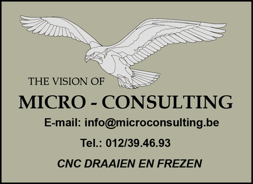 MicroConsulting